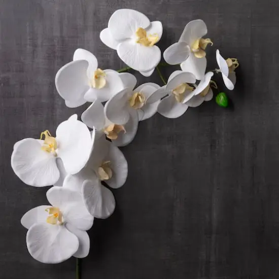 White Orchid Stem by Ashland&reg; {3}