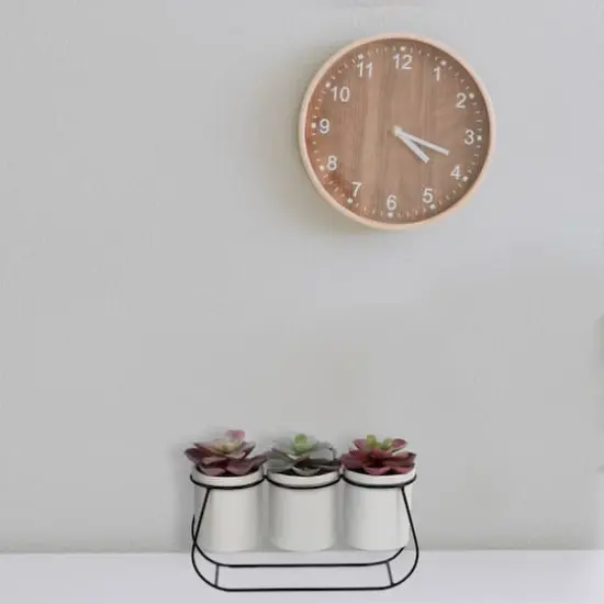 Flora Bunda&reg; 11.5" Potted Succulents in Metal Stand {3}