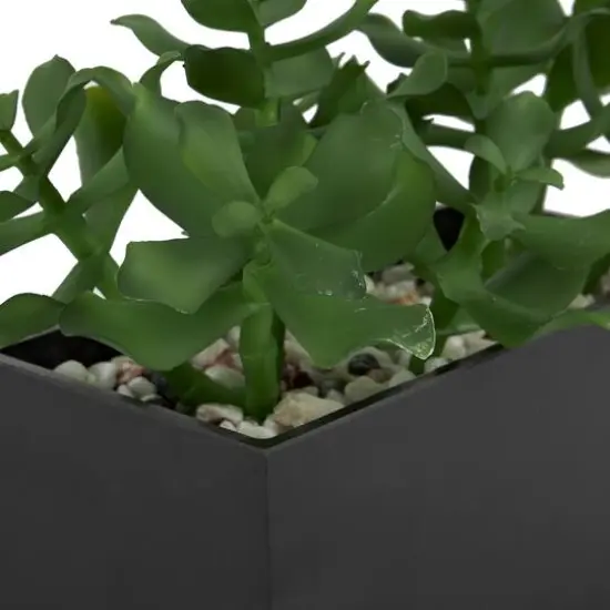 10" Green Foliage Artificial Plant with Black Pot {5}