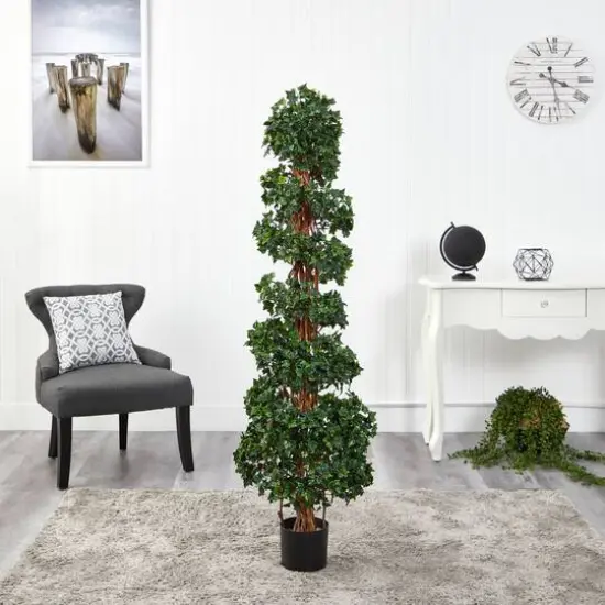 5.5ft. Potted English Ivy Spiral Topiary Tree {6}