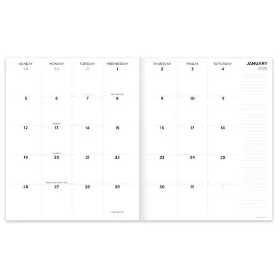 TF Publishing 2025 Wacky & Wavy Large Monthly Planner {4}