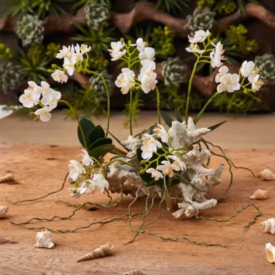 14" Mini Moth Orchid Set on Coral {4}