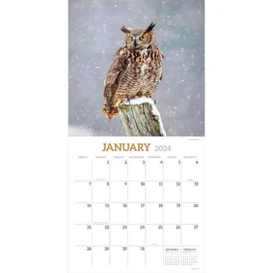 TF Publishing 2024 Owls Wall Calendar {4}