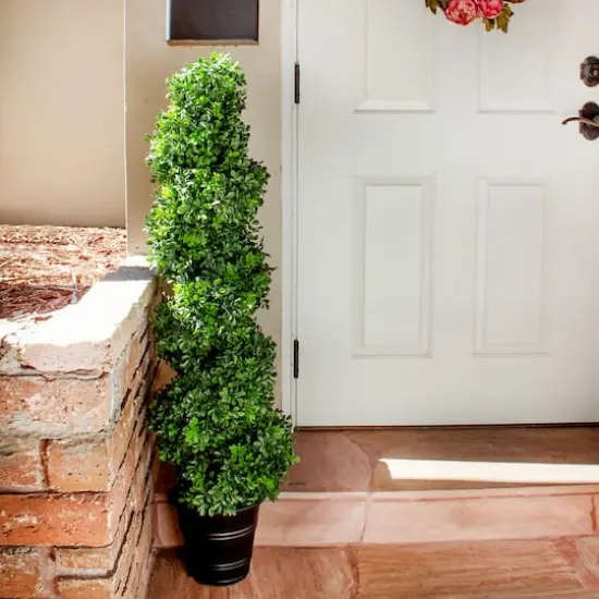 4ft. Boxwood Spiral Topiary in Planter {3}