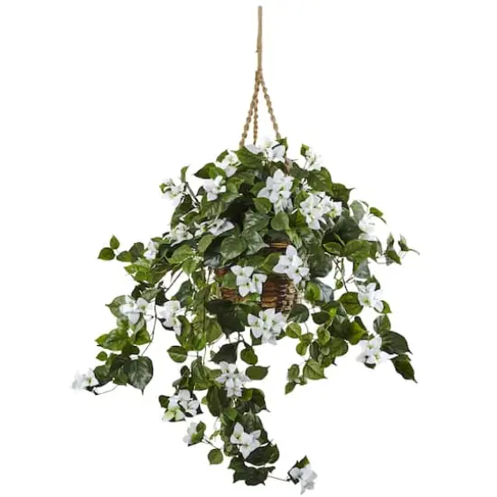 28" Bougainvillea in Hanging Basket {1}