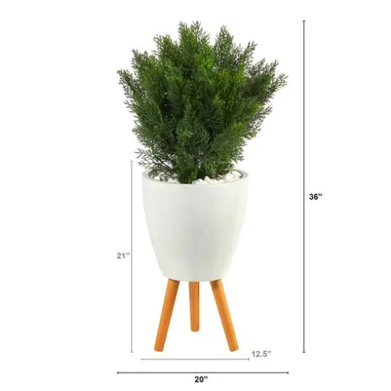 3ft. Cedar Tree in White Planter with Stand {3}