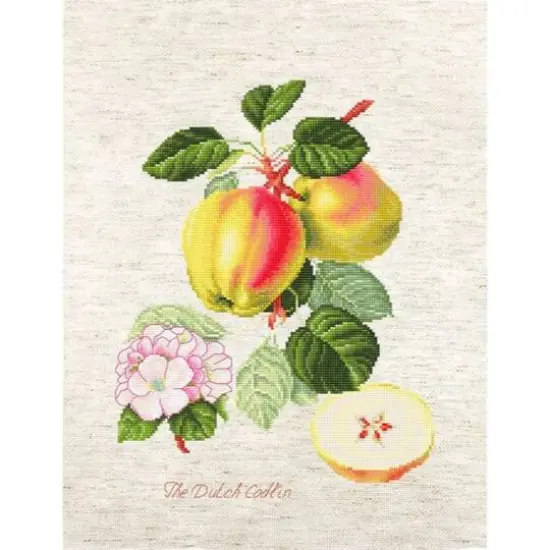 Luca-s The Dutch Codlin Counted Cross Stitch Kit {1}
