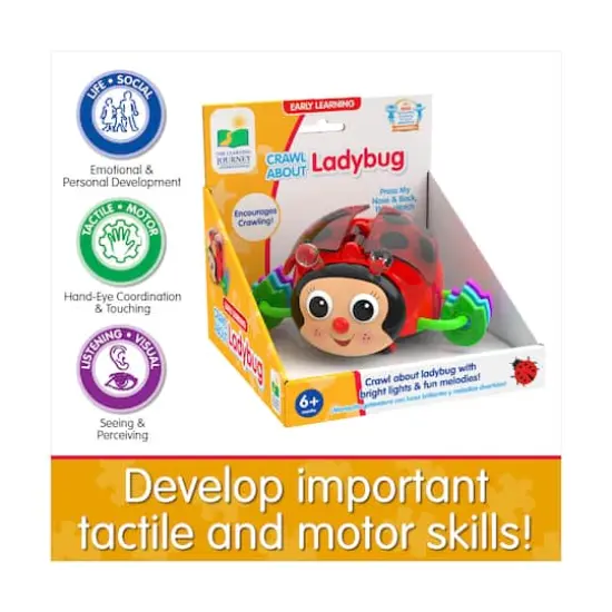 Early Learning - Crawl About Ladybug {8}