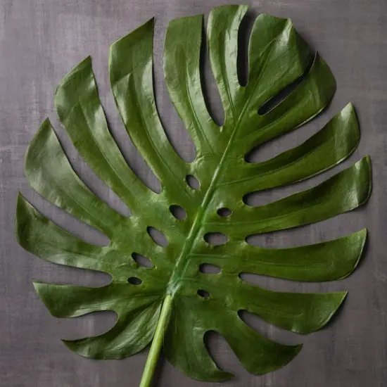 Tropical Monstera Leaf Stem by Ashland&reg; {3}