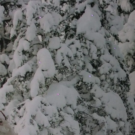 Fiber Optic Lighted Santa In His Sleigh Canvas Wall Art {4}