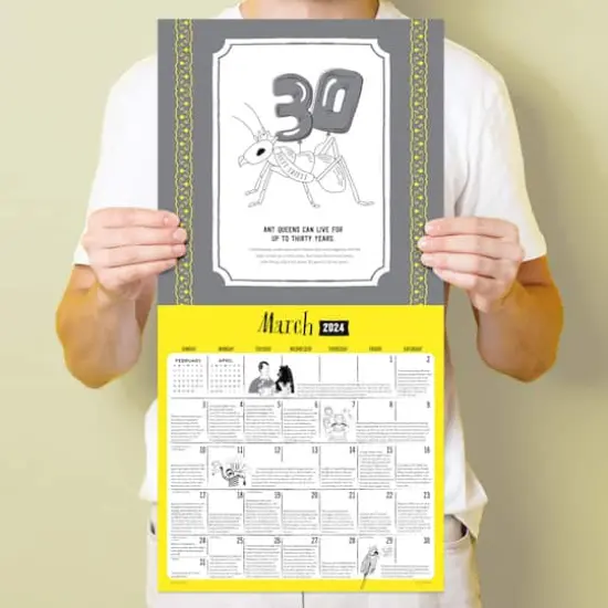 TF Publishing 2024 Insane But True Wall Calendar {6}