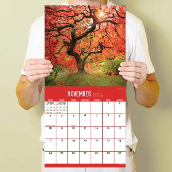 TF Publishing 2024 Trees Wall Calendar {6}