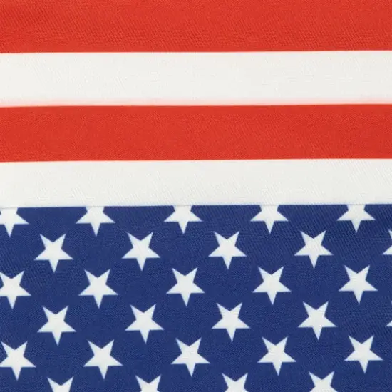 Stars & Stripes Americana Oven Mitts, 2ct. {4}