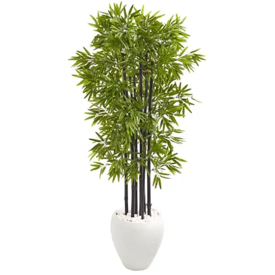 5ft. Bamboo Tree with Black Trunks in Decorative White Planter {1}