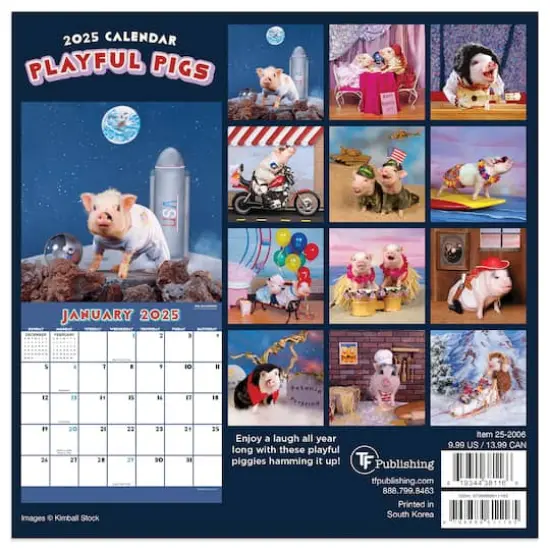 TF Publishing 2025 Playful Pigs Mini Calendar {3}