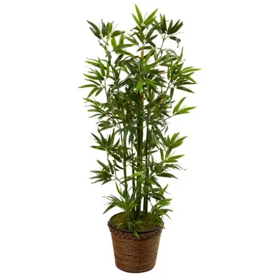 4ft. Bamboo Tree In Coiled Rope Planter {1}