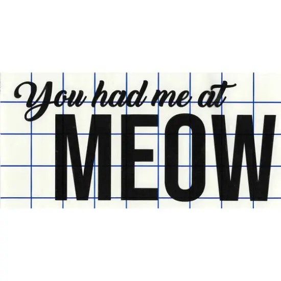 Leisure Arts&reg; Vinyl Matte Black You Had Me at Meow Decal {1}