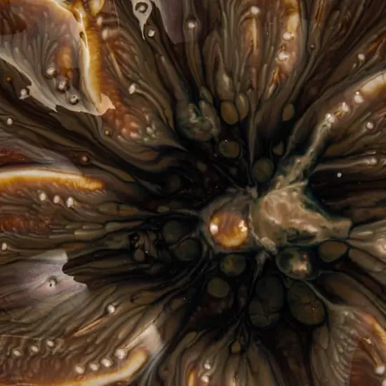 Hello Honey&reg; 5" Multicolor Rustic Glaze Stoneware Flower Plate, 12ct. {7}