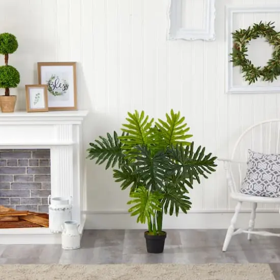 3.5ft. Potted Philodendron Plant {4}