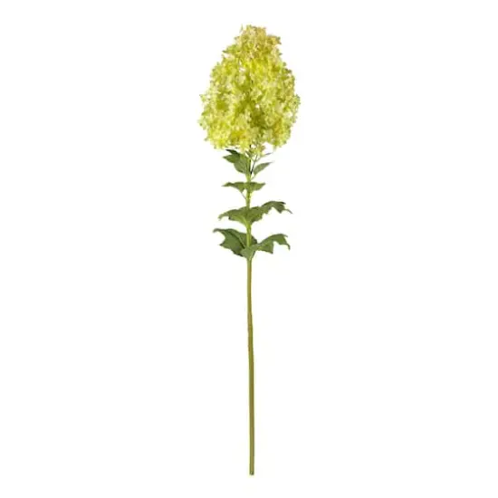 Green Peegee Hydrangea Flower Stem, 2ct. {1}