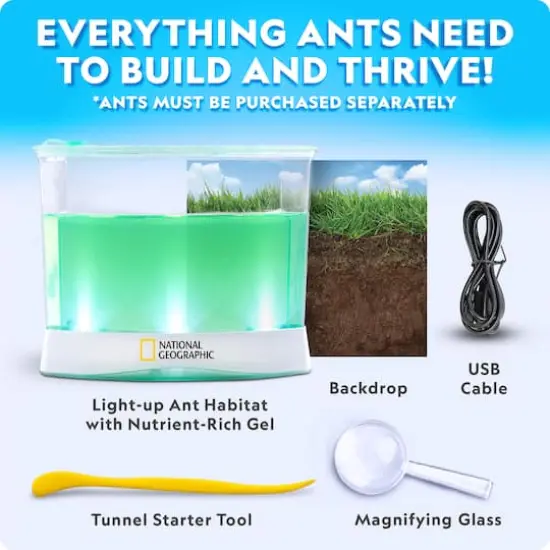 National Geographic Deluxe Light-Up Ant Habitat Kit {6}