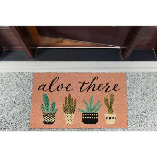 DII&reg; Aloe There Doormat {5}