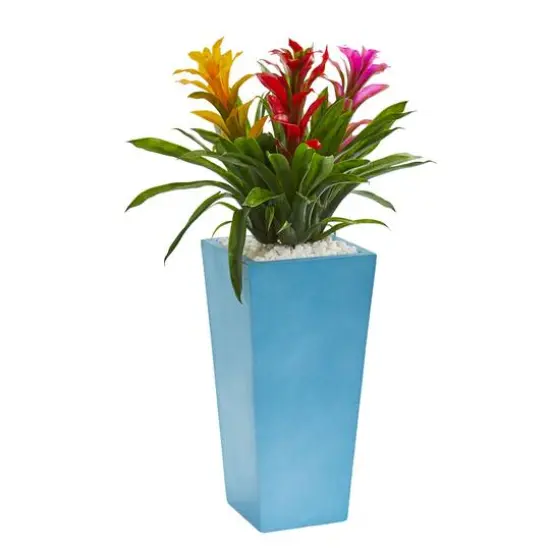 2ft. Multicolor Triple Bromeliad Plant in Turquoise Tower Vase {1}