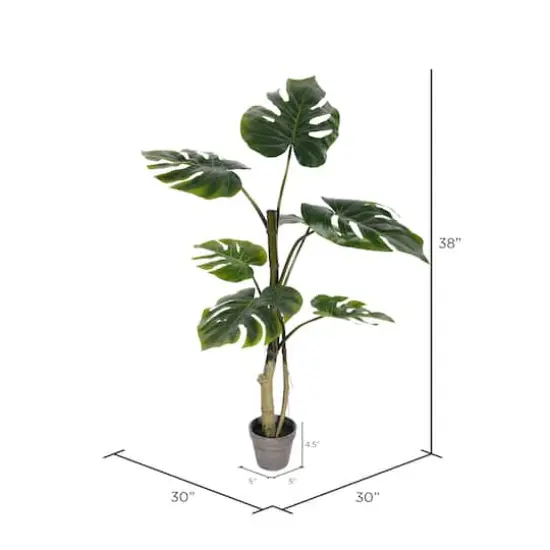 3ft. Potted Split Leaf Philodendron {4}