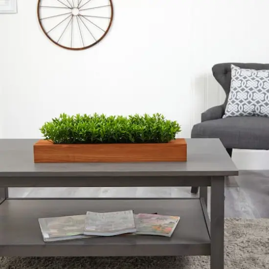 6" Sweet Grass Plant in Decorative Planter {5}