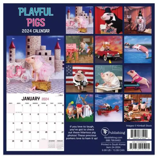 TF Publishing 2024 Playful Pigs Mini Calendar {3}