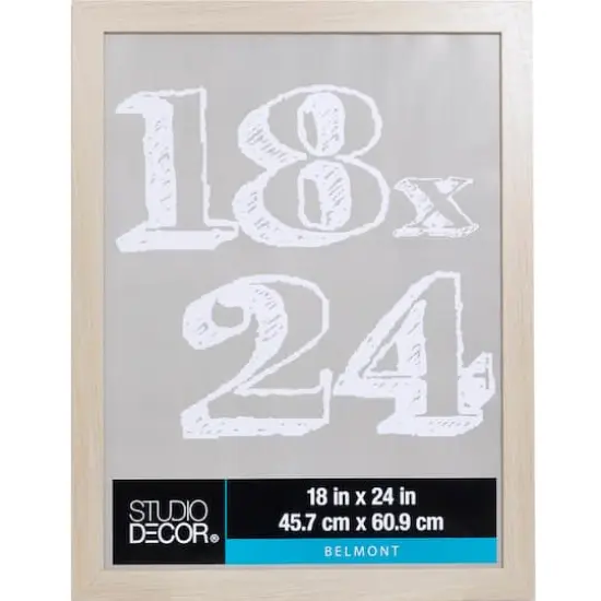 Blonde 18" x 24" Belmont Frame by Studio D&eacute;cor&reg; {1}