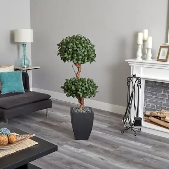 4.5ft. Sweet Bay Double Topiary Tree in Black Planter {6}