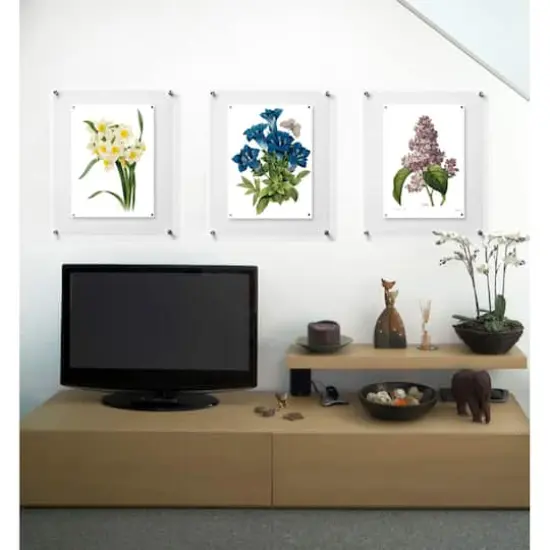 Wexel Art Single Panel Clear Acrylic Floating Wall Frame & Magnets with Silver Hardware {9}