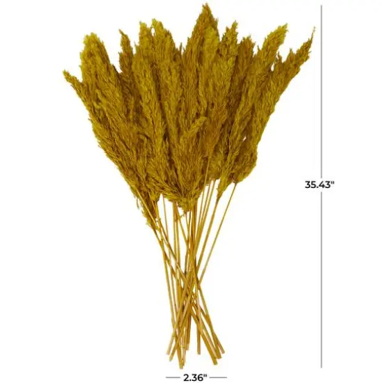 Dried Plant Pampas Natural Foliage with Long Stems Yellow {8}