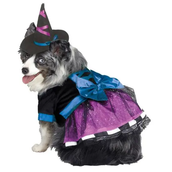Witch Dog Costume by Ashland® {1}