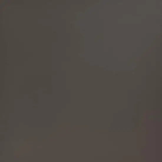ORACAL&reg; 631 Removable Adhesive Vinyl, 4ft. Dark Gray {3}
