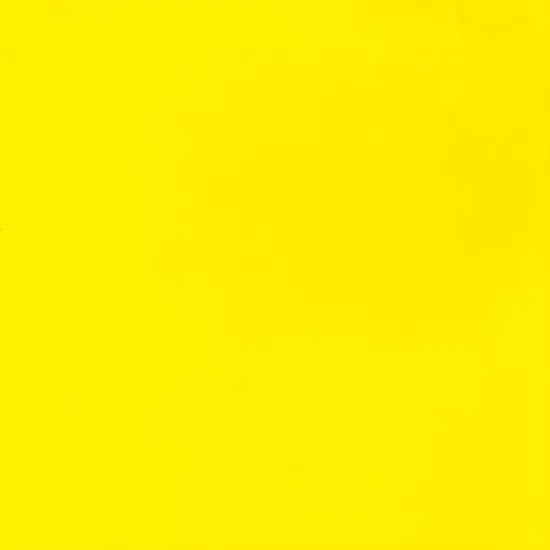 Liquitex® BASICS™ 13.5oz. Acrylic Paint 159 Cadmium Yellow Light Hue {5}