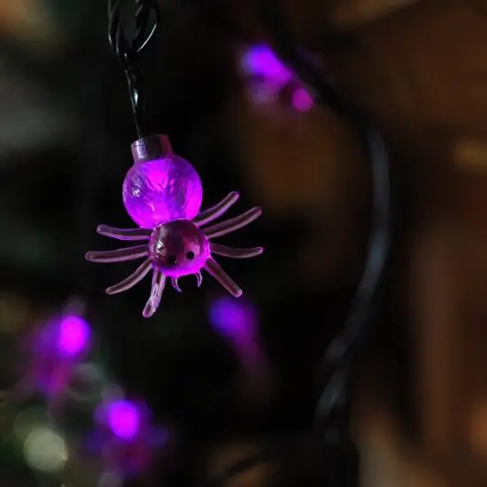 10ct. 4ft. Purple Spider LED Halloween Black Wire Lights {4}