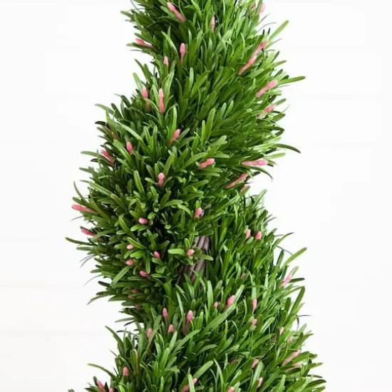 3ft. UV Resistant Artificial Rosemary Spiral Topiary Tree (Indoor/Outdoor) {5}