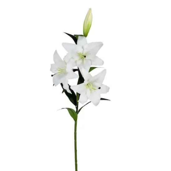 White Lily Spray, 2ct. {1}
