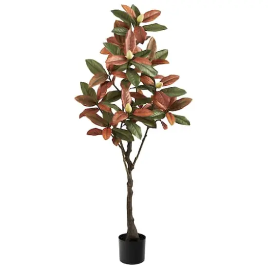 5ft. Potted Fall Magnolia Tree {1}