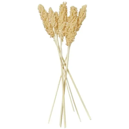 Dried Corn Maize Natural Foliage with Long Stems Cream {1}