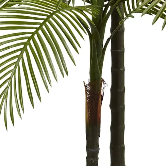 7ft. Potted Double Robellini Palm Tree {4}