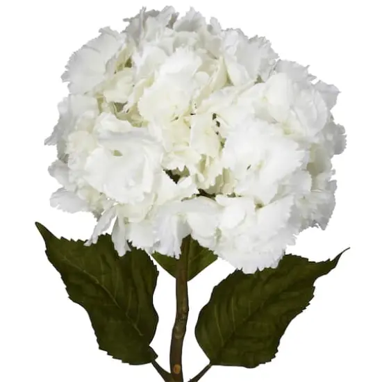 White Hydrangea Stems, 3ct. {3}