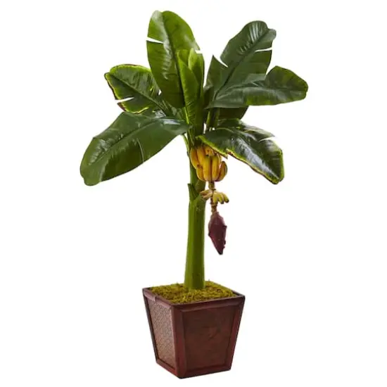 3ft. Banana Tree in Wooden Planter {1}