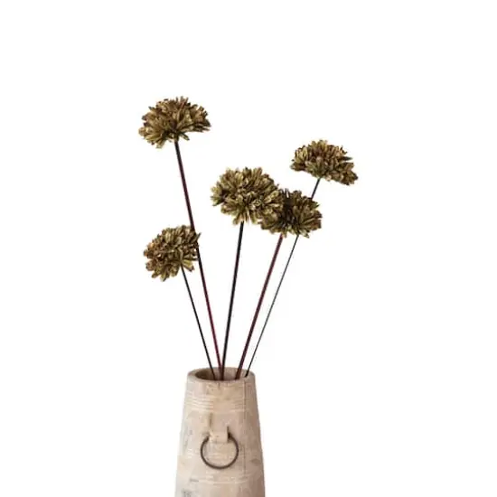 Hello Honey&reg; 23.5" Dried Natural Sesame Flower Stems, 5ct. Green {4}