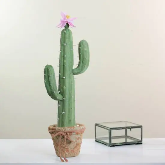 21.5" Southwestern Style Potted Cactus with Flowers {4}