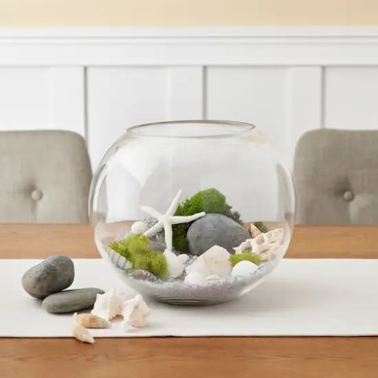 U.S. Shell Light Shell Mix with Starfish Gift Pack {3}