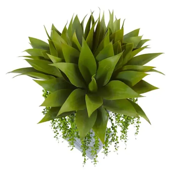 27" Agave & Senecio Succulent Arrangement in Decorative Planter {3}