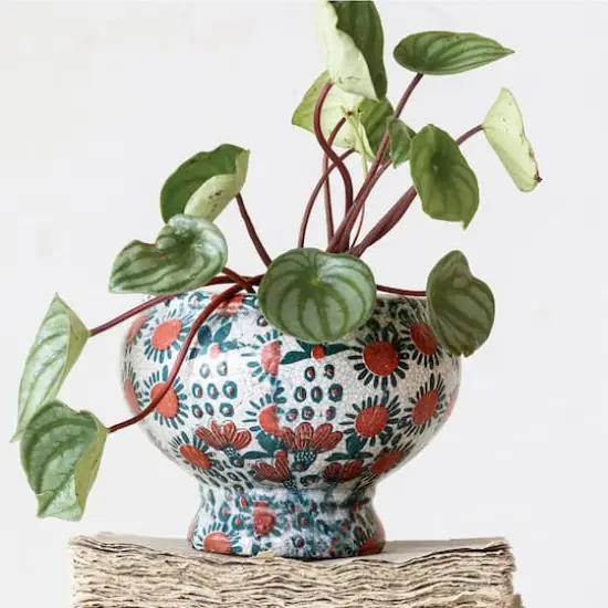 Hello Honey&reg; 7.75" Multicolor Crackle Glaze Decorative Printed Terra Cotta Footed Planter {4}